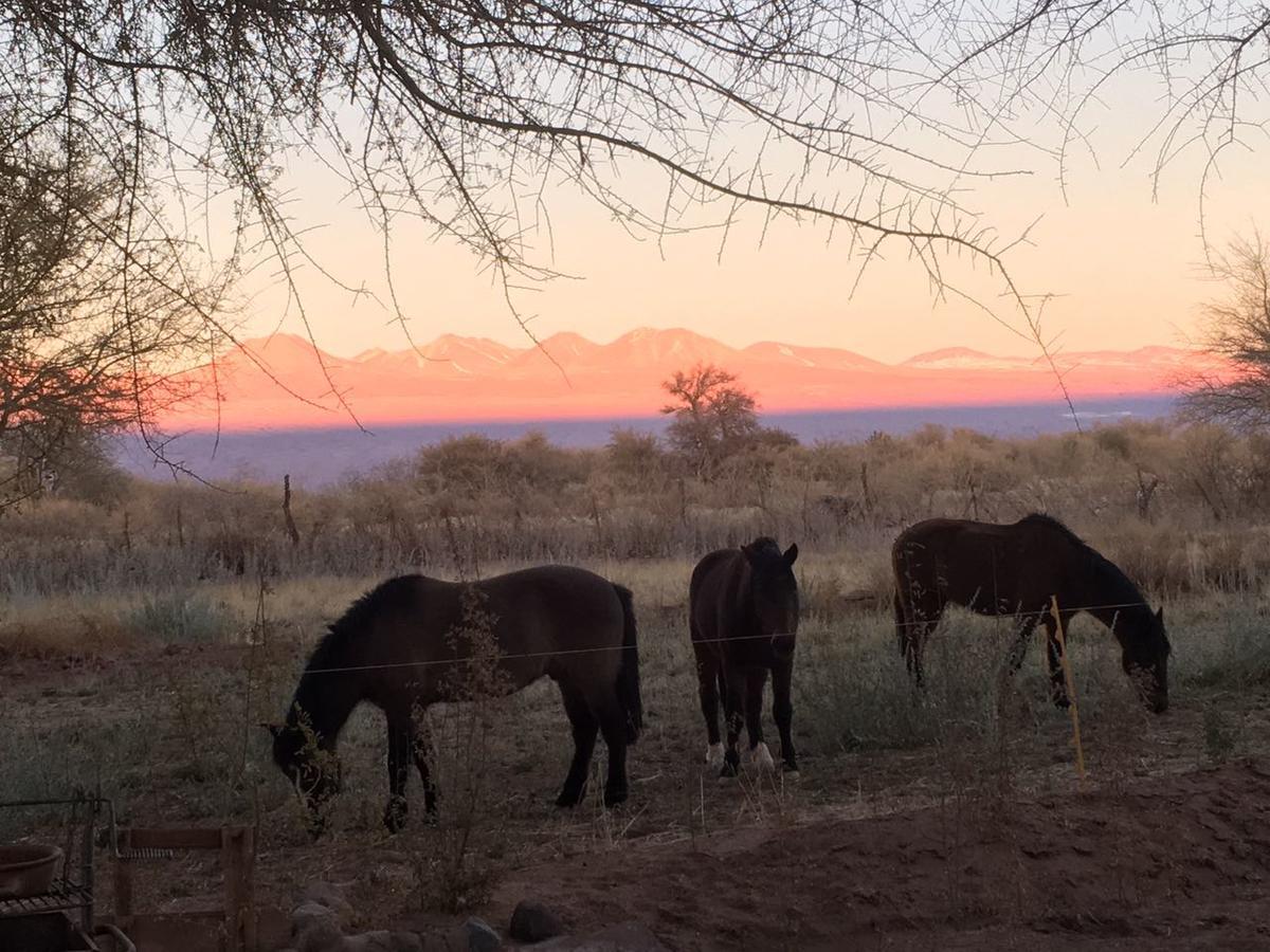 Andes Nomads Desert Camp & Lodge San Pedro De Atacama Zewnętrze zdjęcie